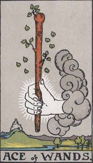 ace of wands,the hermit tarot card - the ace of wands