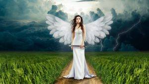 Free Angel Card Readings