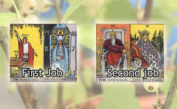 Career Choices Spread tarot